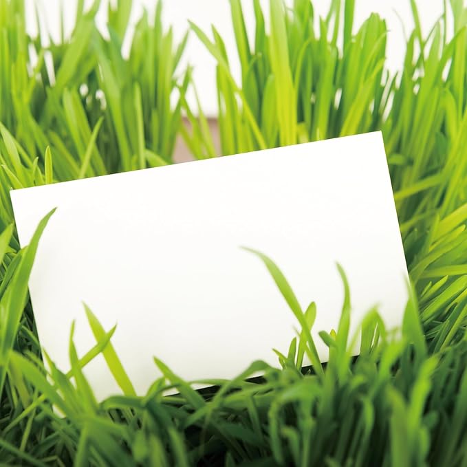 100 Sheets White Cardstock Thick Paper - Blank Heavy Weight 350gsm Cover Card Stock for Invitations,Stationery Printing,Scrapbooking,Crafts,DIY Cards, Paper Crafting (8.5x11 Inches)