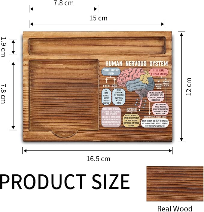 vizuzi The Human Nervous System Brain Sticky Note Holder, Fight or Flight Response CBT DBT EMDR Psychologist School Counselor Therapy Office Decor Self-Stick Note Pad Holders ZSS48