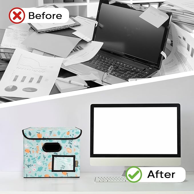 BALEINE File Organizer Box with Lid, Collapsible File Folder Organizer with Plastic Slide, Hanging File Folder Box for Office Document Storage (2 Pack, Spring Stroll)