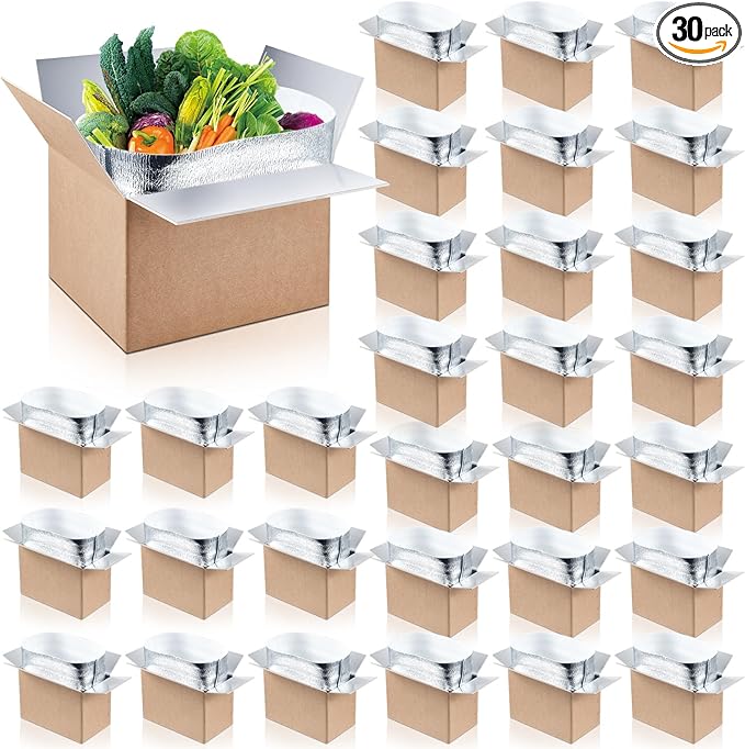 Nuanchu 30 Pieces Double Insulated Mailing Boxes with Aluminum Foil Insulated Bag Liner Cooler Small Mailing Box for Mailing Frozen Food Cold Mailing Boxes for Mailing Packing Moving, 9" x 5" x 6"