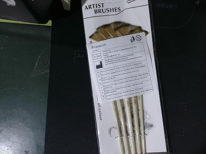 Prasacco 5 Pieces Fan Brush for Painting, Oil Acrylic Paint Brushes Artist Fan Brushes Nylon Hair Long Wood Handle Painting Brush for Acrylic Watercolor Oil Gouche Painting(1#, 3#, 5#, 7#, 9#)