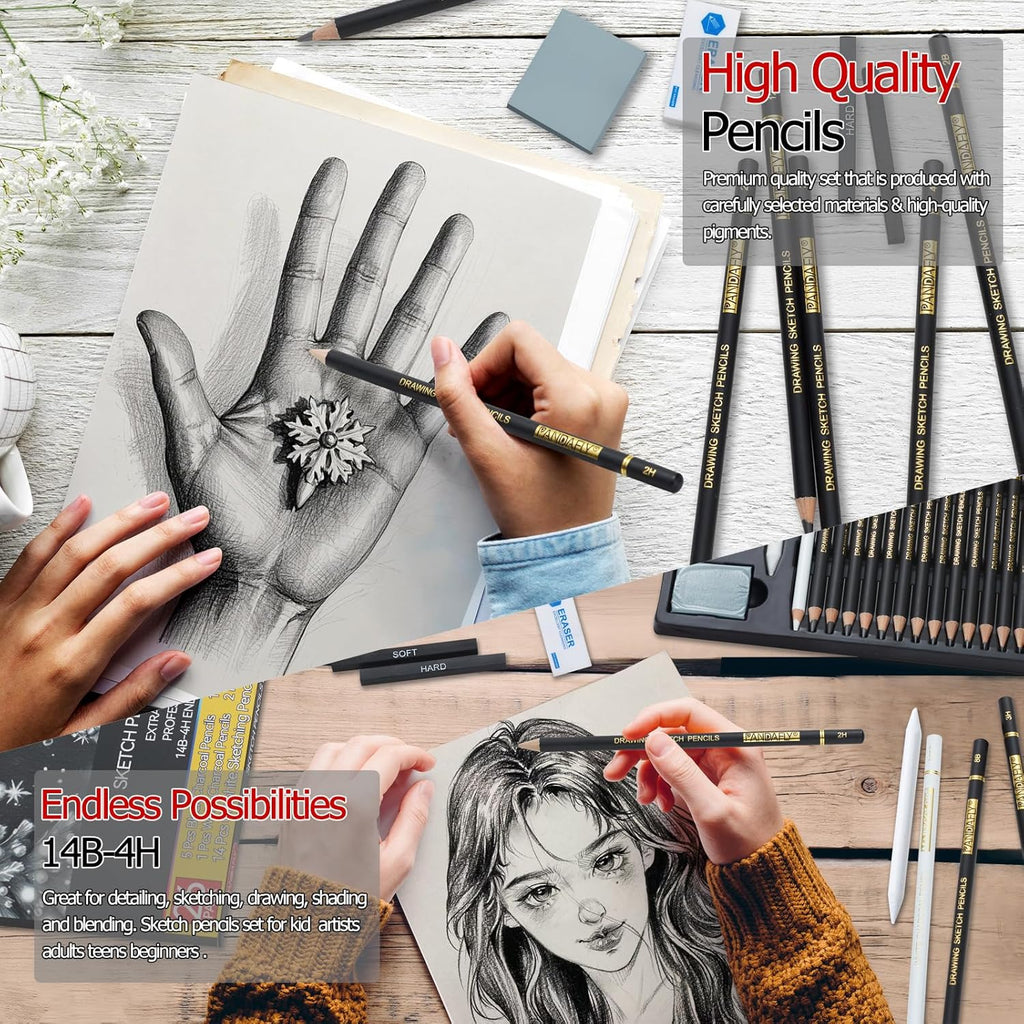 PANDAFLY 26-Piece Professional Sketch Pencil Set - Includes 4H to 14B Graphite Pencils, Charcoal Pencils, Charcoal Sticks, Vinyl Eraser, Kneaded Eraser, Sharpener, Blending Stump