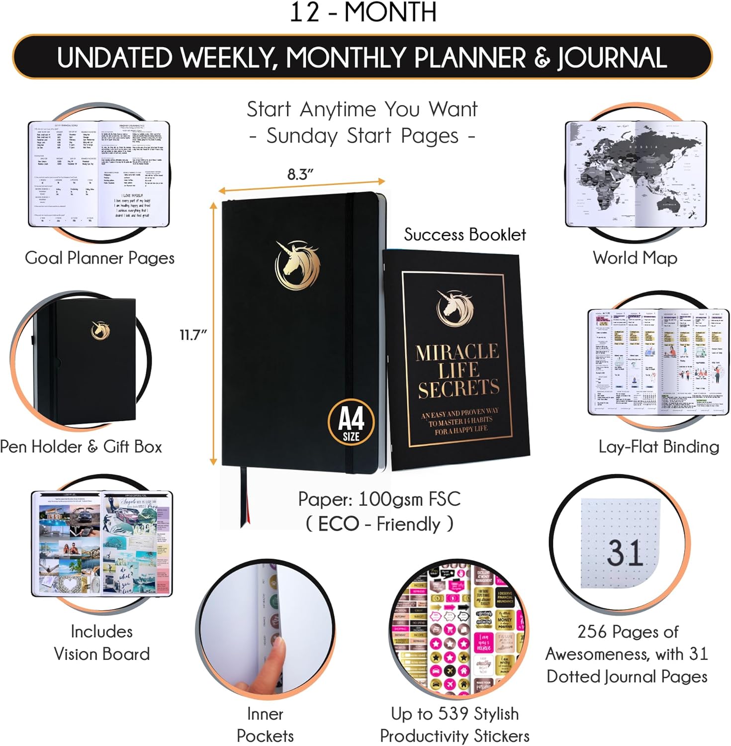Hourly Planner - Undated Daily, Weekly & Monthly Planner with Budget Section | A 12 Month Journey to Increase Productivity & Happiness | Life Organizer & Gratitude Journal - Vertical Format