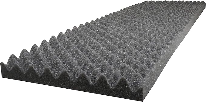 Case Club Customizable Polyethylene/Polyurethane/Convoluted Foam 54 x 16 Inches