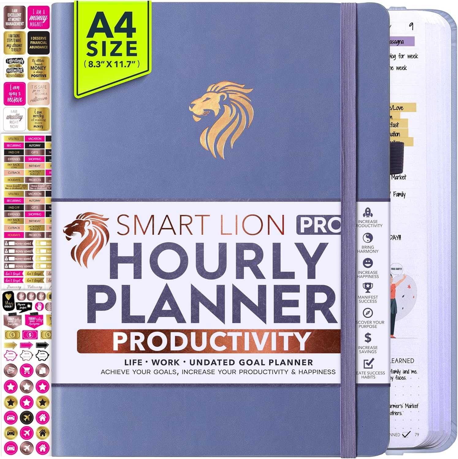 Hourly Planner - Undated Daily, Weekly & Monthly Planner with Budget Section | A 12 Month Journey to Increase Productivity & Happiness | Life Organizer & Gratitude Journal - Vertical Format
