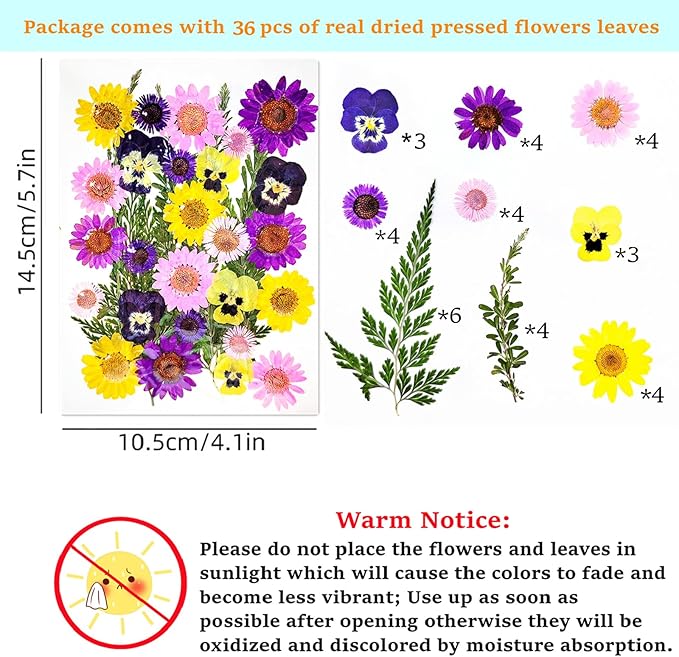 Cardstock Blank Bookmarks Set, 10 Pcs DIY White Craft Bookmarks for Pressed Flowers, Dried Flower Bookmark Making Kit with 36 Pcs Pressed Flowers, 10 Pcs Tassels, DIY Bookmarks for Dried Flowers