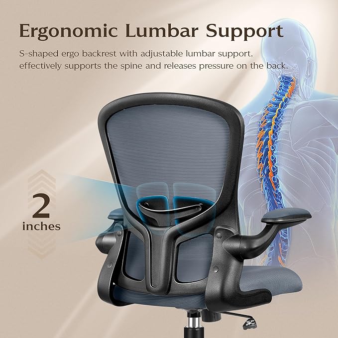 FelixKing Office Chair, Ergonomic Desk Chairs with Wheels Home Mesh Chair Adjustable Lumbar Support and Height, Ergo Chair for Working Gaming Use (Dark Gray)