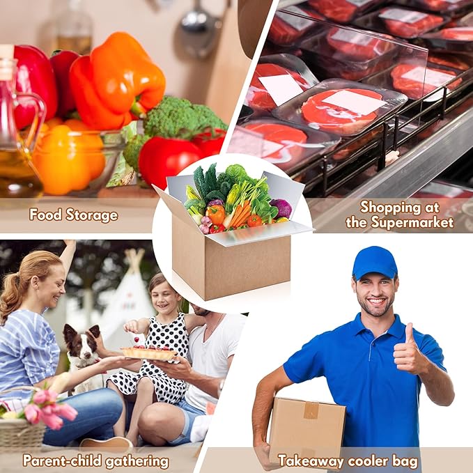 Nuanchu 20 Pieces Double Insulated Mailing Boxes with Aluminum Foil Insulated Bag Liner Cooler Small Mailing Box for Mailing Frozen Food Cold Mailing Boxes for Mailing Packing Moving, 9" x 5" x 6"