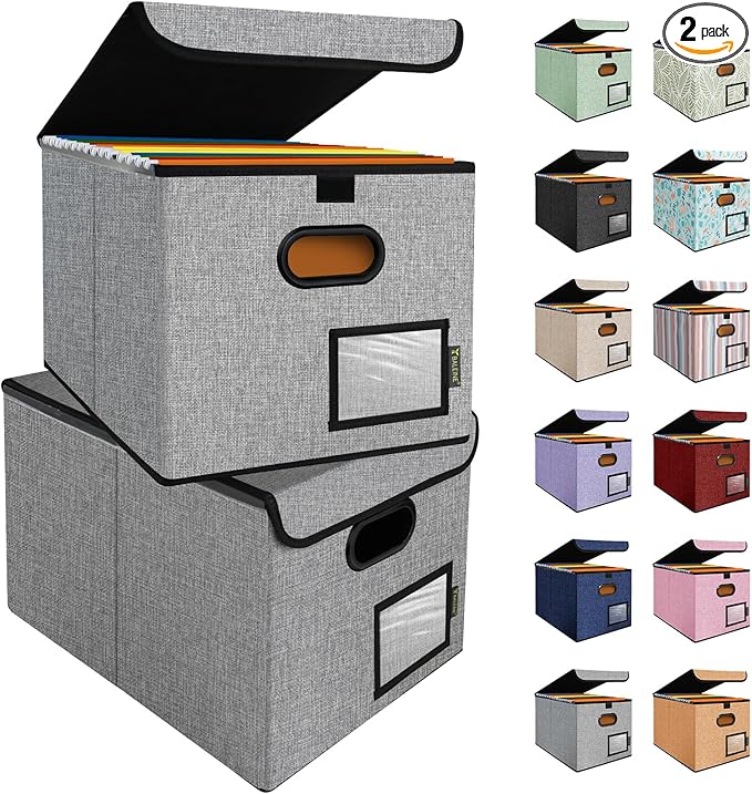 BALEINE File Organizer Box with Lid, Collapsible File Folder Organizer with Plastic Slide, Hanging File Folder Box for Office Document Storage (2 Pack, Grey)