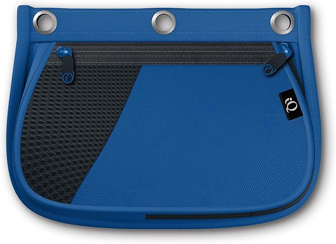 iScholar iQ Expandable Pencil Pouch, 2 Pockets, 3-Hole Pouch, Color Will Vary (55020)