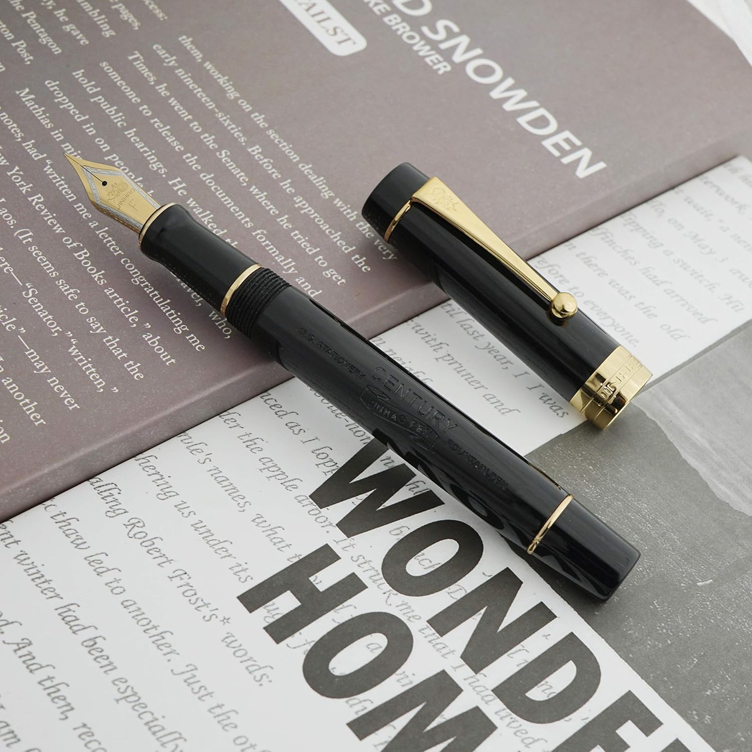 Jinhao 100 Fountain Pen Celluloid Classic Style, #6 Nib Smooth Writing Instrument with Refillable Converter and Pen Case Set