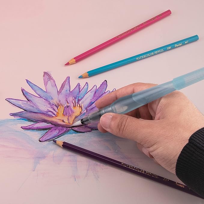 Pentel Arts Aquash Fine Point Water Brush, Large (FRHBBP)