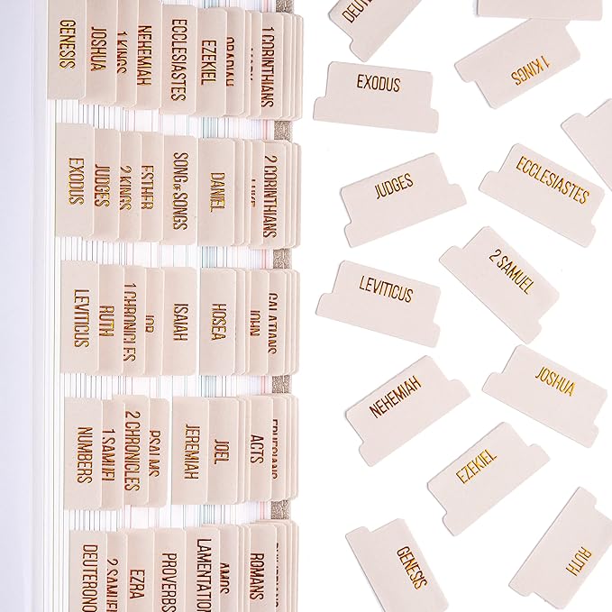 DiverseBee Laminated Bible Tabs (Copper Embossed Lettering), Bible Journaling Supplies, Bible Book Tabs, Christian Gift, 73 Bible Tabs for Women and Men, Includes 4 Blank Tabs (Alabaster)
