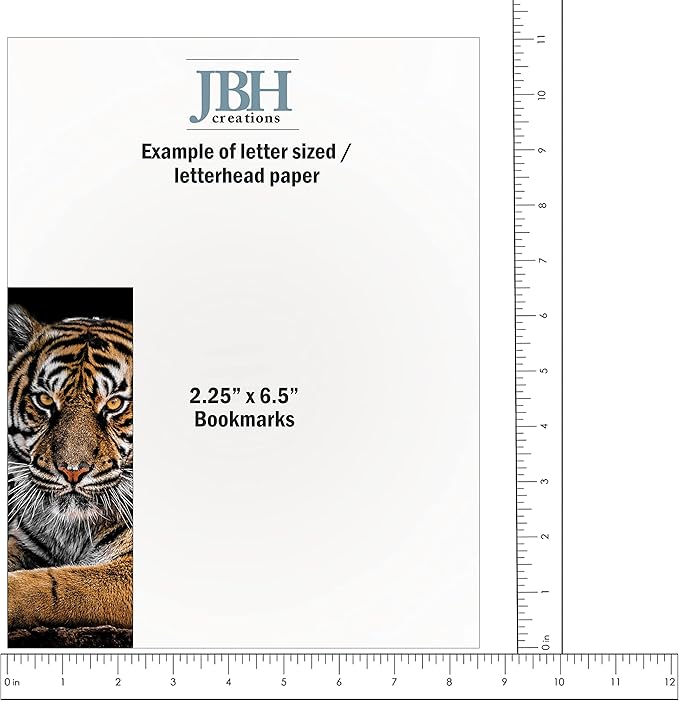 JBH Creations Around The World Animal Bookmarks - Pack of 48