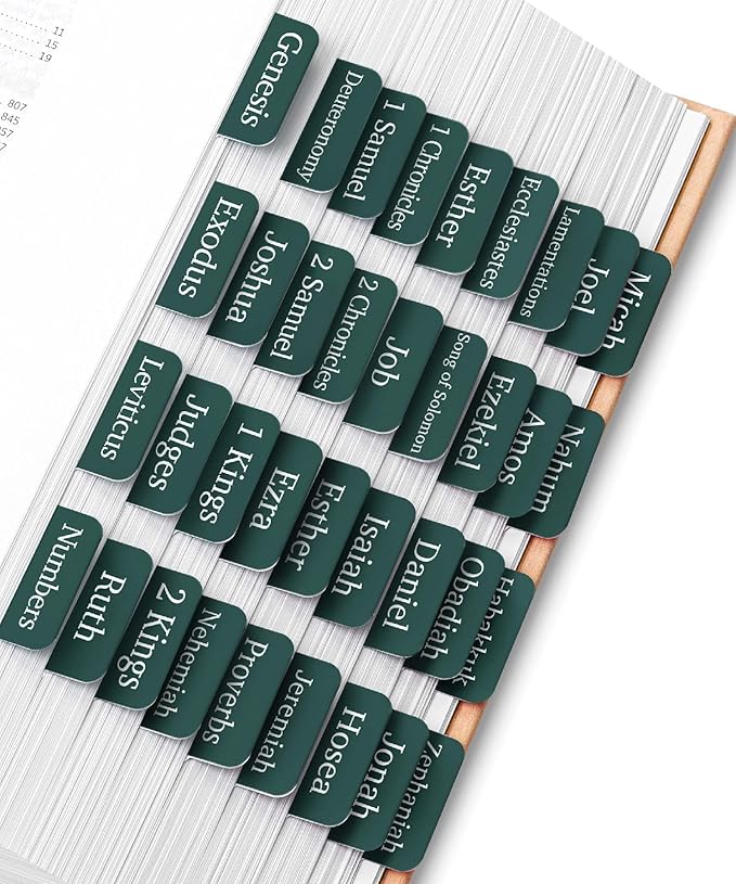 Mr. Pen- Bible Tabs, 75 Tabs, Charcoal Emerald, Laminated Bible Tabs for Women and Men, Bible Tabs for Study Bible, Bible Index Tabs, Bible Book Tabs, Bible Labels Tabs, Mr Pen Bible Tabs