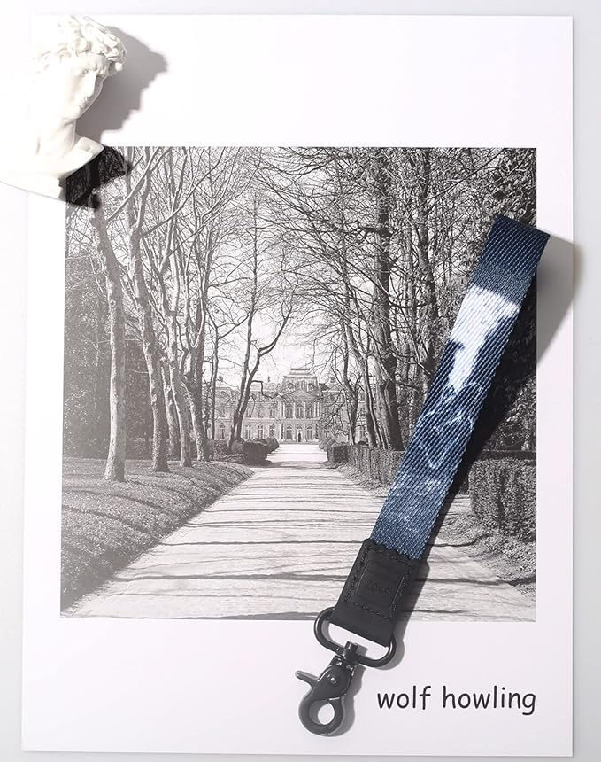 DQL Key Wristlet Strap for Women and Men, Wrist Keychain for Car Keys, Badge, Wallet, and Phone Wrist Strap