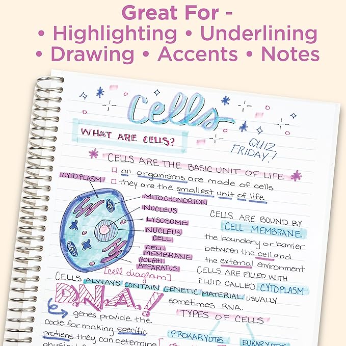 Zebra Pen Mildliner Double-Ended Highlighter Set, Broad and Fine Point Tips, No Bleed Bible Assorted Neutral Vintage Ink Colors, Model Number: 78605, 5-Count, Pack of 1