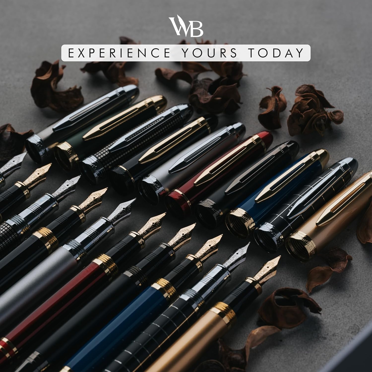 Wordsworth & Black Majesti Fountain Pen-(Black), Luxury Case, Gold Finish; 18K Gilded Medium Nib- Ink Cartridges, Refillable Ink Converter-Calligraphy Pen-Best Business Gift Set for Men & Women