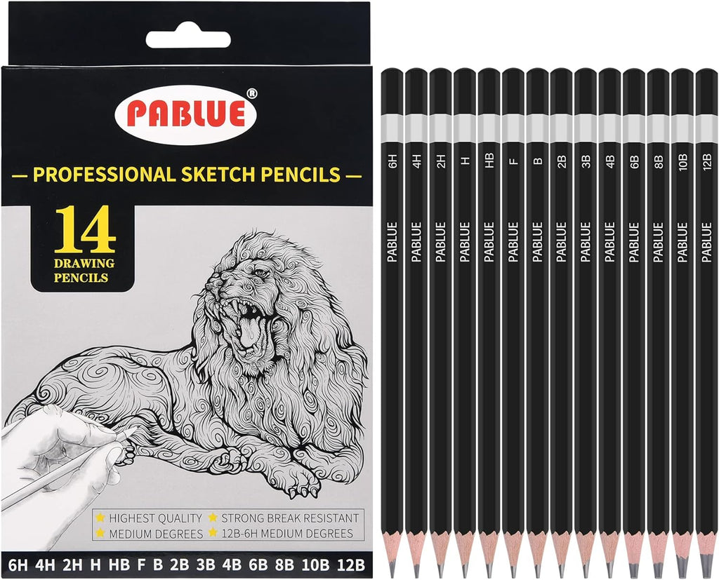 Professional Triangular Drawing Sketching Pencil Set,6H,4H,2H,H,HB,F,B,2B,3B,4B,6B,8B,10B,12B Graphite Shading Pencils for Beginners,ProArtists,Drawing,Drafting,Sketching,Shading(14 Pcs)