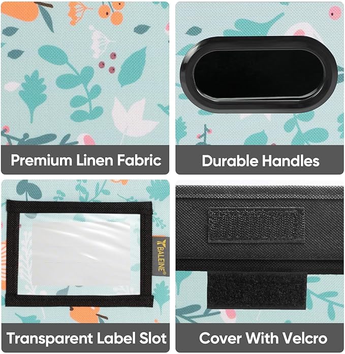 BALEINE File Organizer Box with Lid, Collapsible File Folder Organizer with Plastic Slide, Hanging File Folder Box for Office Document Storage (1 Pack, Spring Stroll)