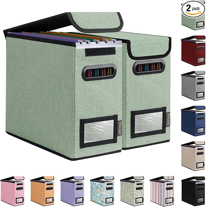 BALEINE File Organizer Box with Lid, Collapsible File Folder Organizer with Plastic Slide, Hanging File Folder Box for Office Document Storage (2 Pack, Green, S)
