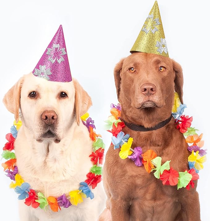 24 Sheets Rose Red Glitter Cardstock Paper, A4 Premium Sparkly Paper for Scrapbook, DIY Projects, Party Decoration, Gift Box Wrapping 250GSM/92lb