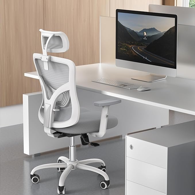 NOBLEWELL Ergonomic Office Chair, Desk Chair with 2'' Adjustable Lumbar Support, Headrest, 2D Armrest, Office Chair Backrest 135° Freely Locking and Rocking, Computer Chair for Home Office