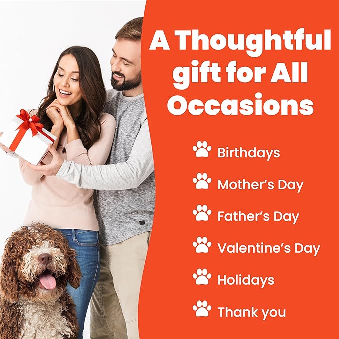 Funny Dog Mom Pen Set – 5-Piece Dog-Themed Stylus Pens – Dog Mom Gifts for Women, Friends, Dog Lovers, Groomer, Vet, Dog Sitter, Dog Walker for Birthdays, Valentines, Thank you