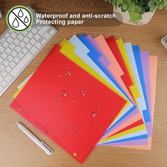 HABGP 12 Tab Dividers for 3 Ring Binder, 24 Pcs Multicolor 3 Ring Binder Dividers with Tabs, Page Folder Dividers, Plastic Tabbed File Dividers with Tabs, Three Ring Binder Index Dividers, 2 Set