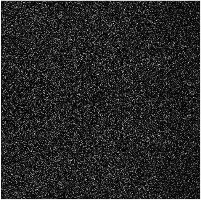 Baisunt 10 Sheets Black Glitter Cardstock Paper for Graduation Cap DIY Project, Scrapbook, Birthday Wedding Party Decoration 250GSM(12x12 In, Non Adhesive)