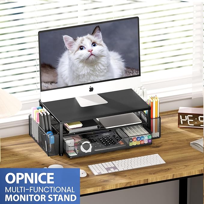 Desk Organizers and Accessories, 2-Tier Computer Monitor Stand for Desk Organizer with Drawer and 2 Pen Holders, Office Desk Accessories Workspace Desktop Organizers for Office Supplies, Black