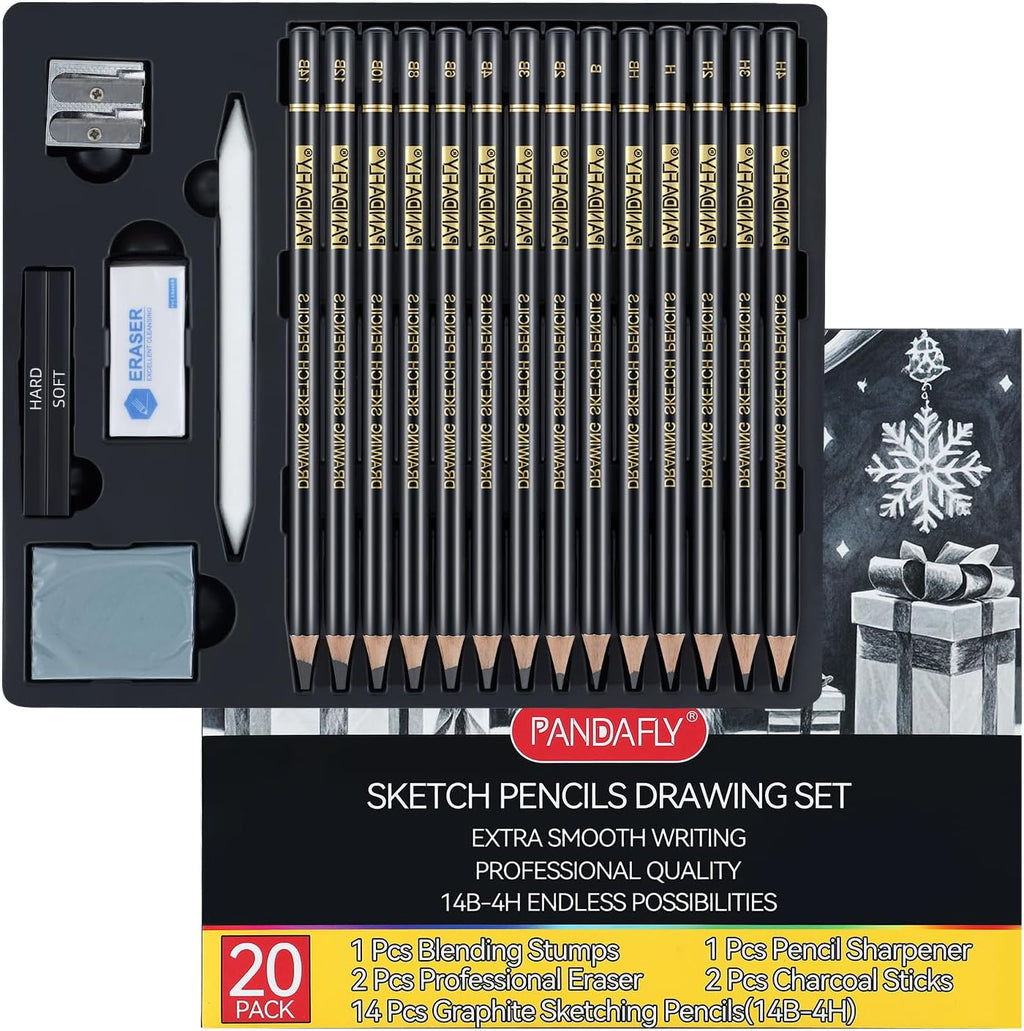 PANDAFLY 20-Piece Professional Sketch Pencil Set - Includes 4H to 14B Graphite Pencils, Charcoal Sticks, Vinyl Eraser, Kneaded Eraser, Sharpener, Blending Stump - Ideal for Artists and Beginners