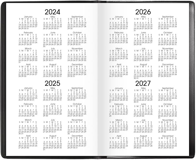 AT-A-GLANCE Planner 2024-2025 Academic, Monthly Pocket Planner, 3-1/2" x 6", Flexible Cover, DayMinder, Black (AY5300)