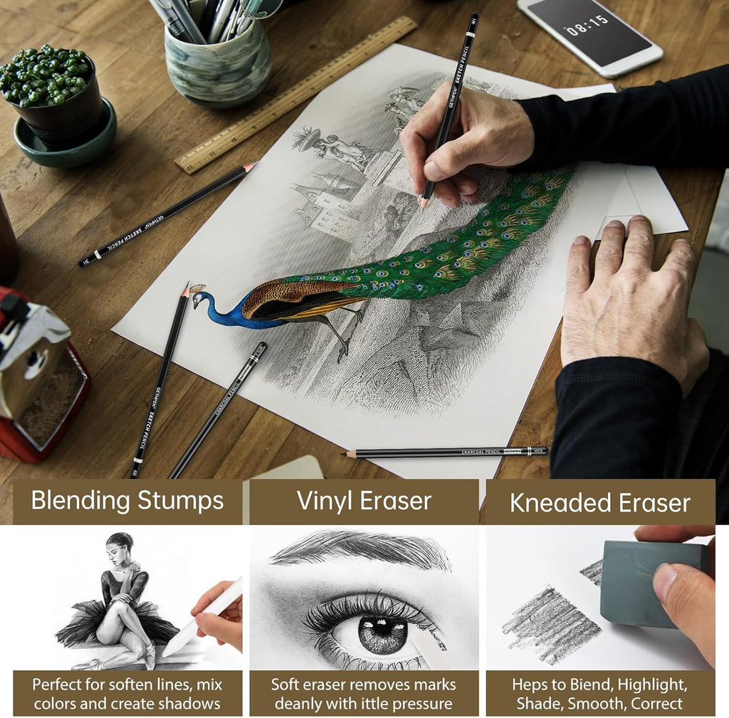 Drawing Sketching Pencil Set, 24 Piece Pro Artist Sketch Kit - Graphite Pencils (12B-4H),Charcoal Pencils for Drawing,Black and White Charcoal Pencils,Charcoal Sticks,Stumps,Eraser,Sharpeners