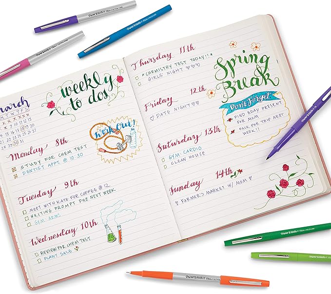 Paper Mate Flair Pen Easel Case, Medium Tip (0.7 mm), Assorted Colours, Case of 10