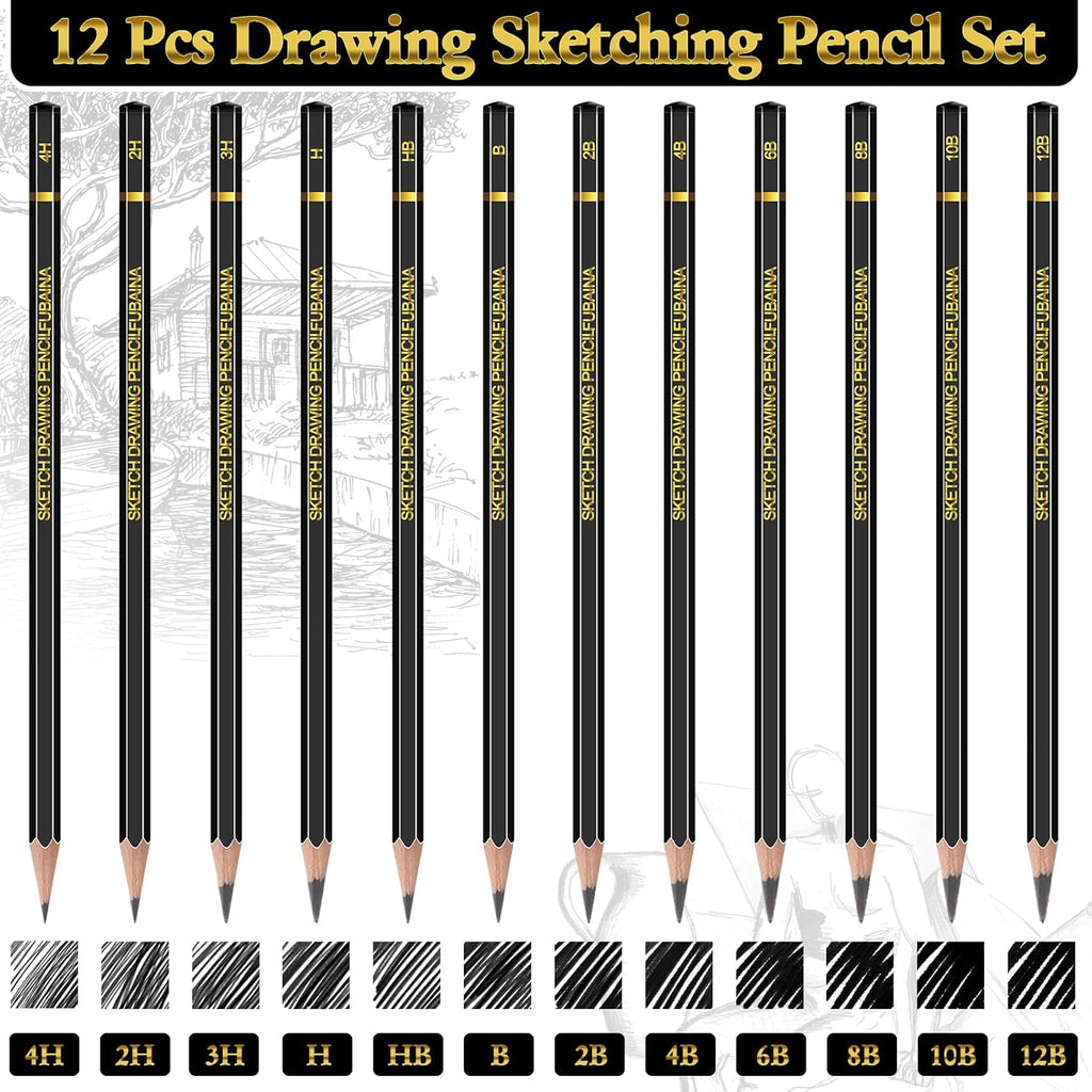 12 Pcs Drawing Sketching Pencil Set Professional (12b - 4h) Graphite Charcoal Gift Bulk for Artists Beginners, Pro Artists, Drawing Art, Sketching