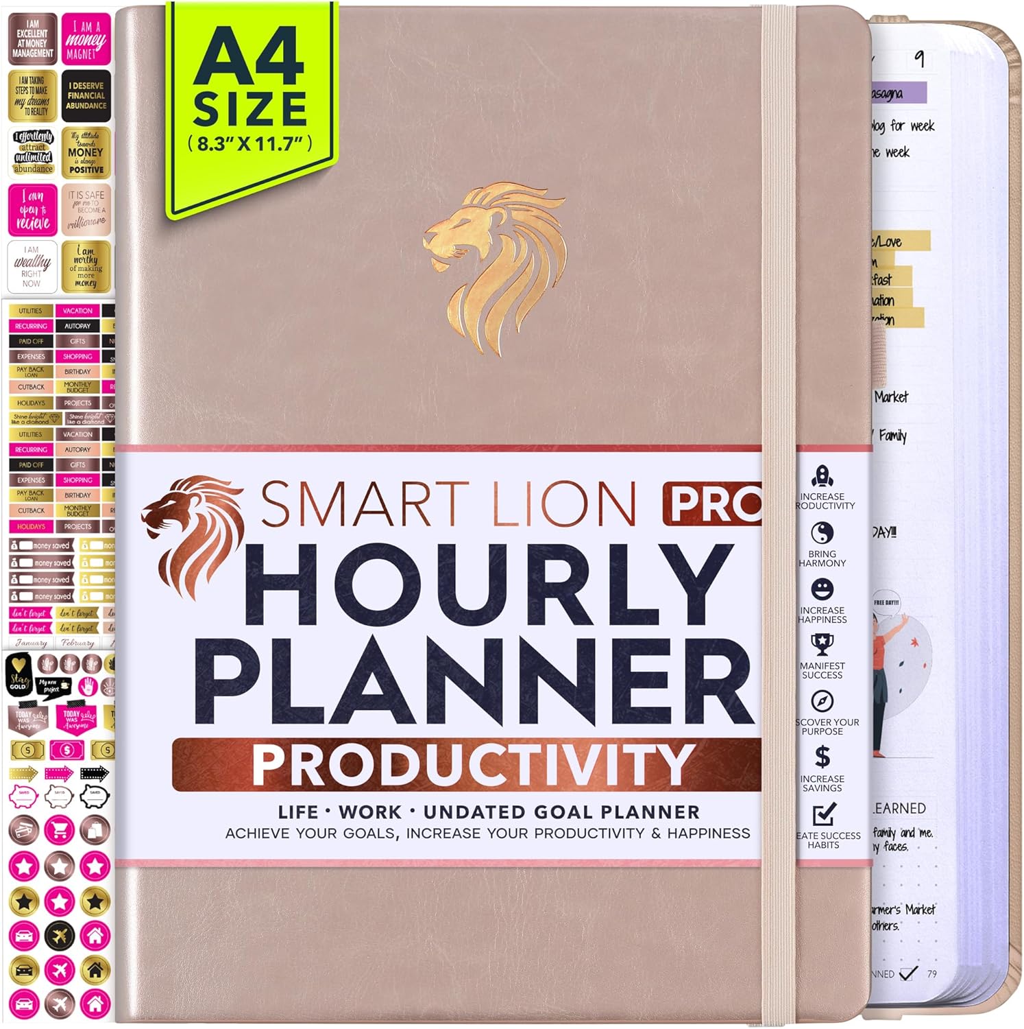 Hourly Planner - Undated Daily, Weekly & Monthly Planner with Budget Section | A 12 Month Journey to Increase Productivity & Happiness | Life Organizer & Gratitude Journal - Vertical Format