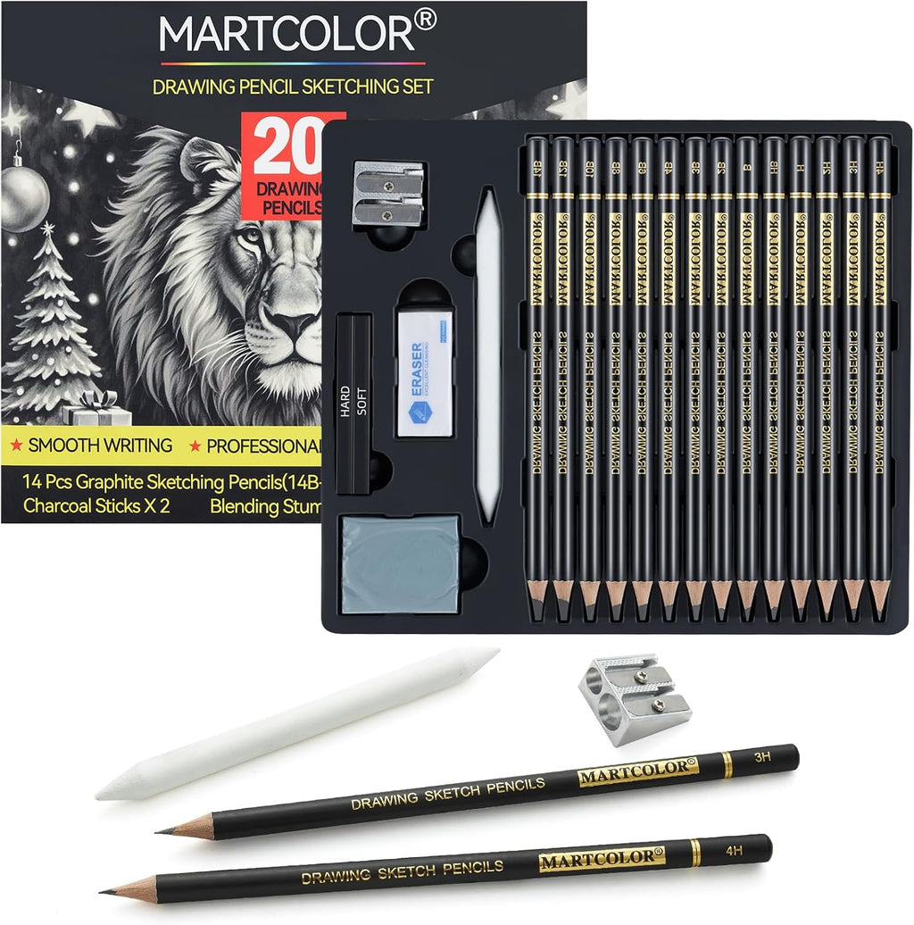 Drawing Sketching Pencil Set, 20 Pieces, Graphite Pencils (14B-4H), Charcoal Sticks, Stump, Eraser, Sharpeners, Ideal for Drawing Art, Sketching, Artist Pencils for Beginners & Pro Artists