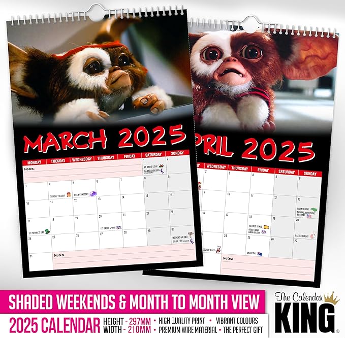 // Gizmo - 2025 Wall Calendar (Full Colour, A4 Size)