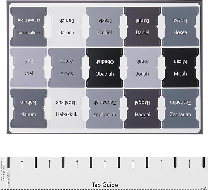 Mr. Pen- Bible Tabs, 75 Tabs, Gray, Laminated Bible Tabs for Women and Men, Bible Tabs for Study Bible, Bible Index Tabs, Bible Book Tabs, Bible Labels Tabs, Mr Pen Bible Tabs