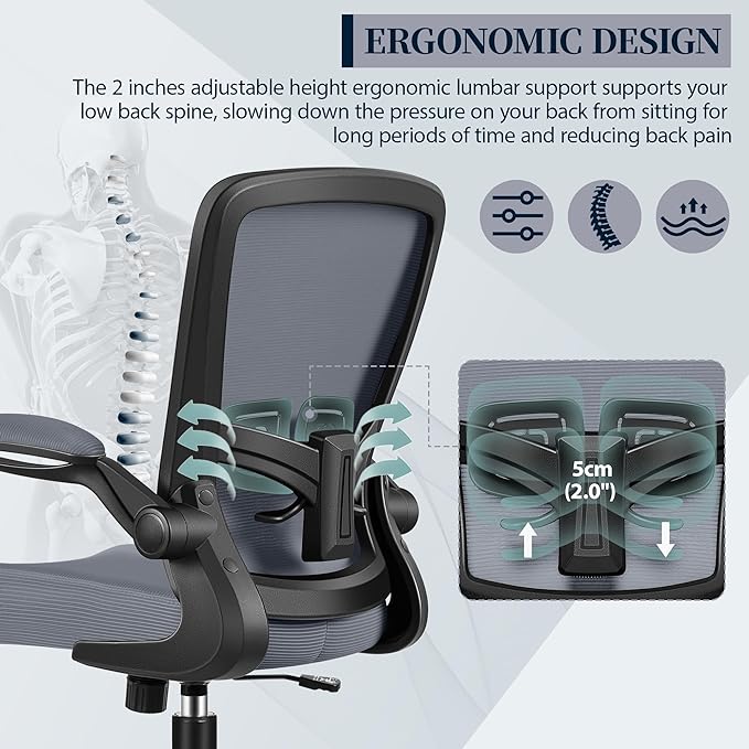 FelixKing Office Chair, Ergonomic Desk Chair with Adjustable Height and Lumbar Support Swivel Desk Computer Chair with Flip up Armrests for Conference Room (Dark Gray)