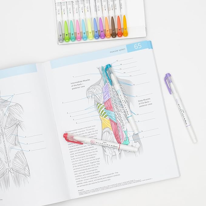 Zebra Pen Mildliner Brush Marker, Double Ended Brush and Fine Tip Pen, Assorted Soft Colors, 15 Count (Pack of 1)