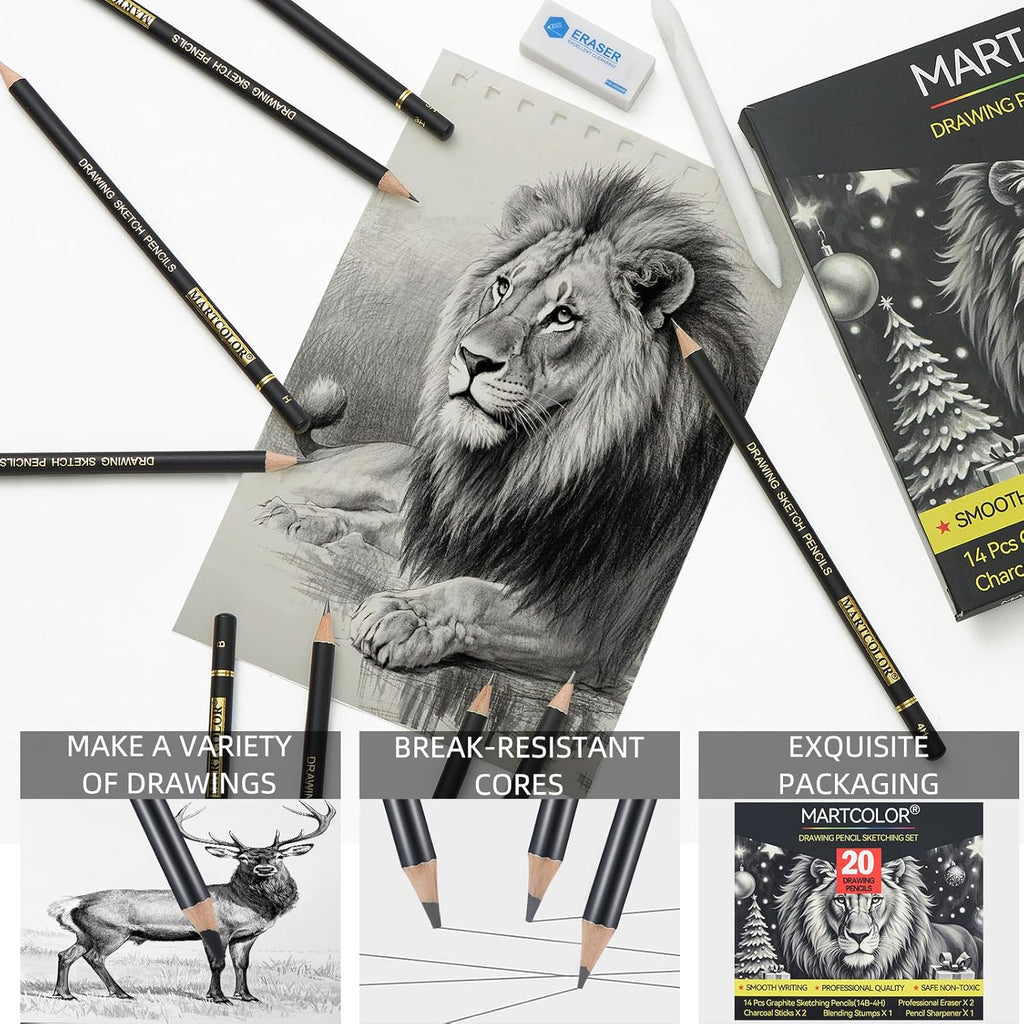 Drawing Sketching Pencil Set, 20 Pieces, Graphite Pencils (14B-4H), Charcoal Sticks, Stump, Eraser, Sharpeners, Ideal for Drawing Art, Sketching, Artist Pencils for Beginners & Pro Artists
