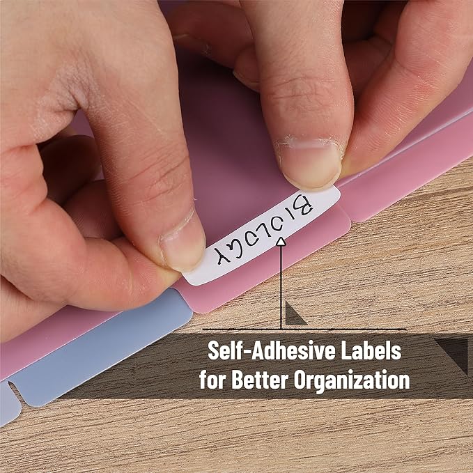 Mr. Pen- Binder Dividers, 6 Tab Dividers, Pack of 2 Sets (12 Dividers Total), Dividers, Plastic Dividers for 3 Ring Binder, Binder Dividers with Tabs, Binder Tabs, 3 Ring Binder Dividers