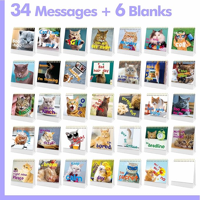 40 Pages Funny Desk Sign, 34 Different Fun and Flip-Over Messages plus 6 Erasable Blank Pages, Funny Desktop Flip Book for Office Gifts Desk Accessories (Cat Design)