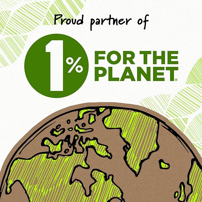 BIC Ecolutions Mechanical Pencils with Erasers, With Colorful Barrel, Medium Point (0.7mm), 24-Count Pack, Mechanical Pencils Made from 81% Recycled Plastic Excluding Leads and Erasers (MPE24-BLK)