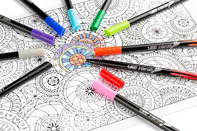 BIC Intensity Fineliner Marker Pens, Fine Point (0.4 mm), Assorted Colors (Colors May Vary), 10-Count