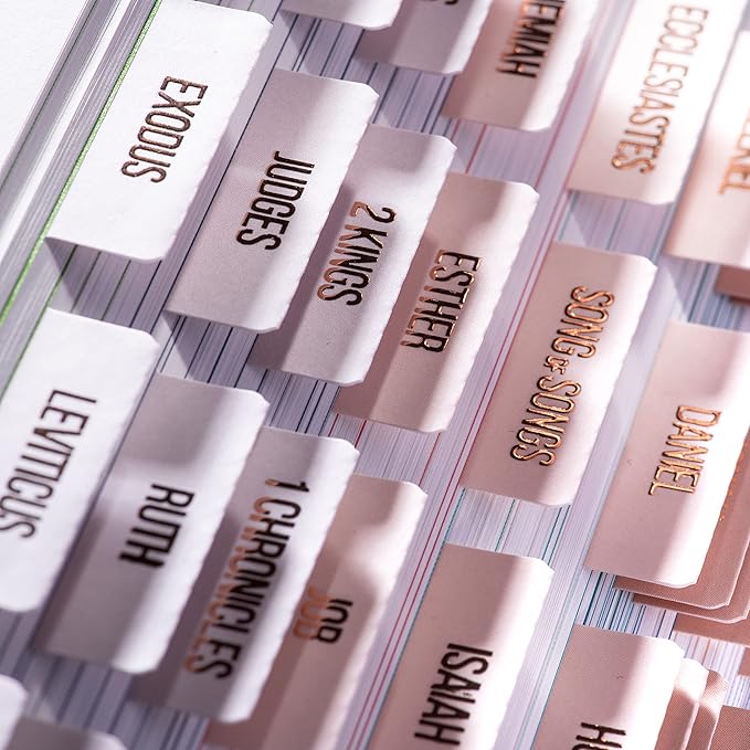 DiverseBee Laminated Bible Tabs (Rose Gold Embossed Lettering), Bible Journaling Supplies, Bible Book Tabs, Christian Gift, 73 Bible Tabs for Women and Men, Includes 4 Blank Tabs (Pearl)