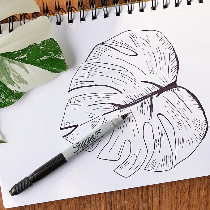 SHARPIE Brush Twin Permanent Marker, Brush Tip Marker and Ultra Fine Tip Marker, Black, 12 Count