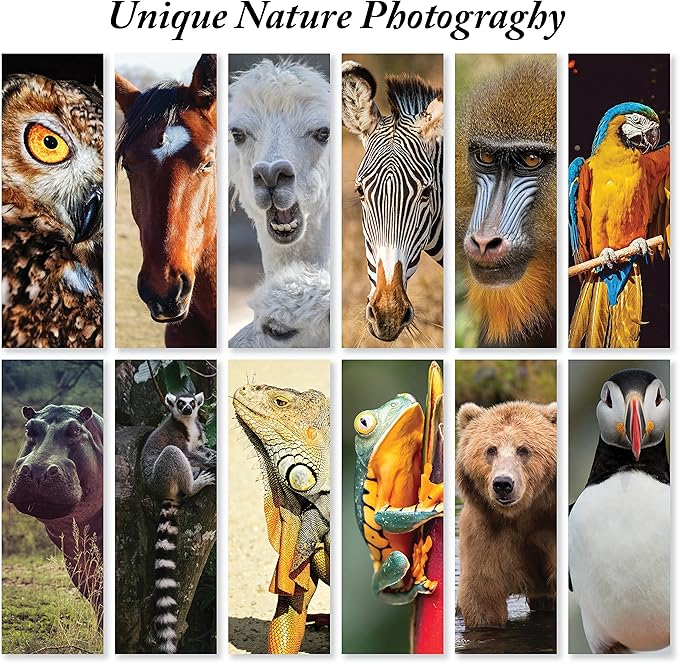 JBH Creations Around The World Animal Bookmarks - Pack of 48